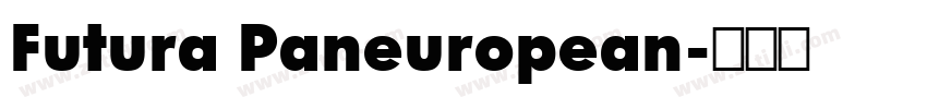 Futura Paneuropean字体转换